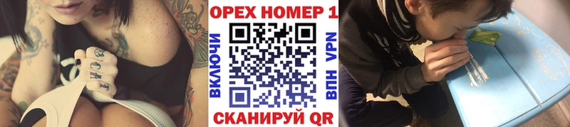дарк нет состав  blacksprut ONION  Элиста  Cocaine Fish Scale 