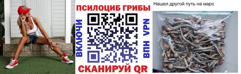 Галлюциногенные грибы мицелий  ОМГ ОМГ рабочий сайт  Элиста 
